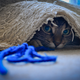 Illustration for article titled 369 Absolutely Adorable Pet Wallpapers
